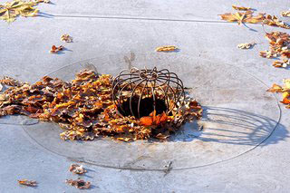 Feuilles et naissance