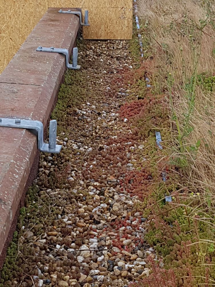 Chemin de marche d'une toiture végétale à nettoyer