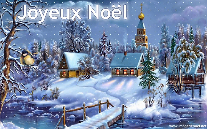 Noel-entretenir-sa-toiture