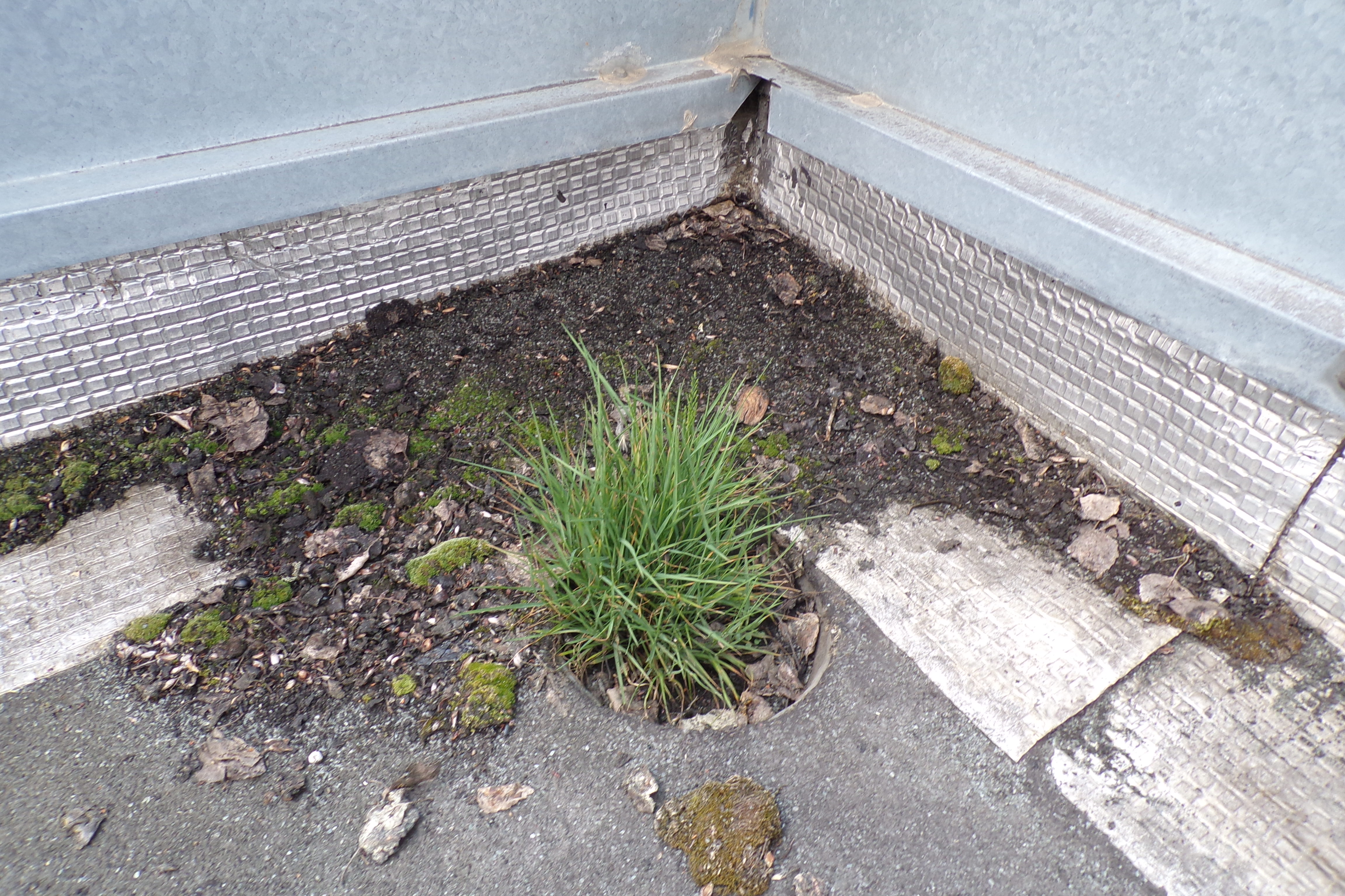 naissance-obstruée-poitiers