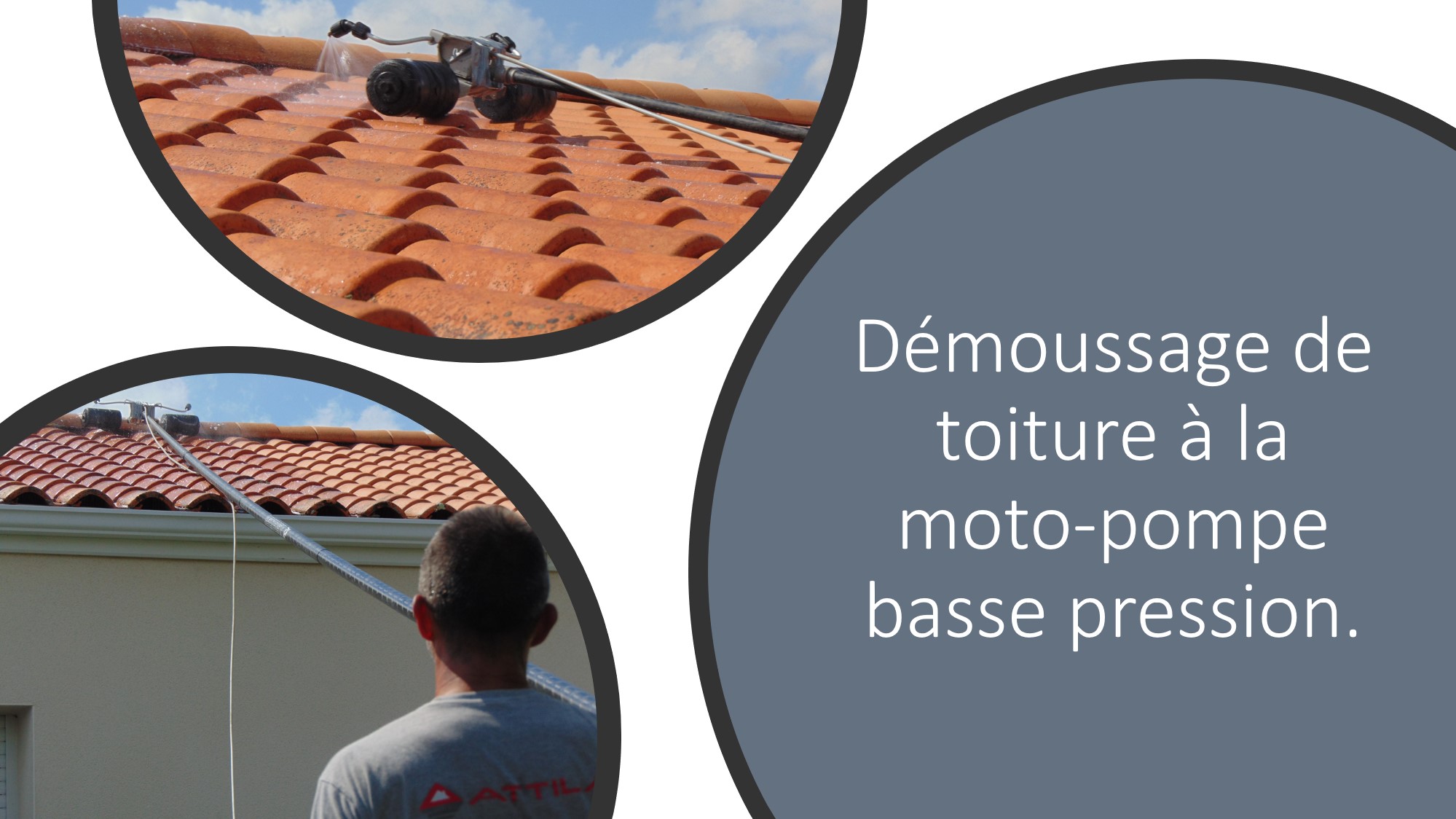 demoussage toiture niort